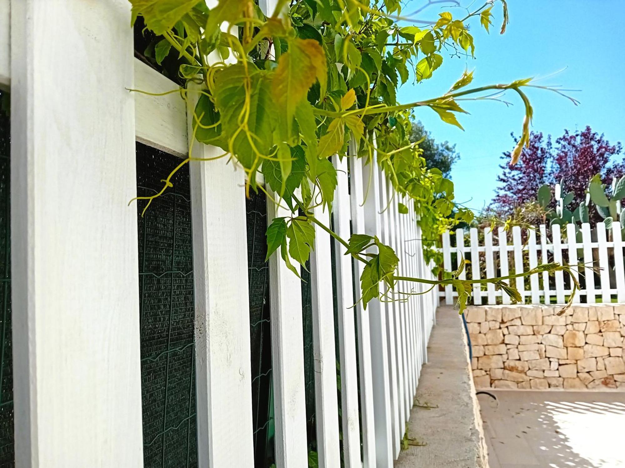 Pietra Di Puglia Hotel Monopoli Exterior foto